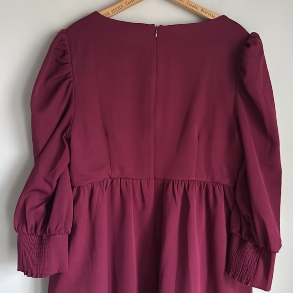 Tuckernuck Burgundy Mini Dress - Picture 9 of 13